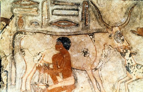 a blink of an eye, Livestock Land for Food, ancient egypt
